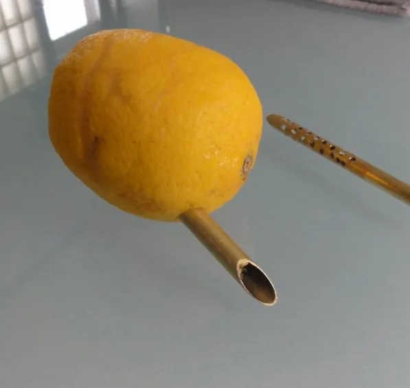 Espremedor de Limões